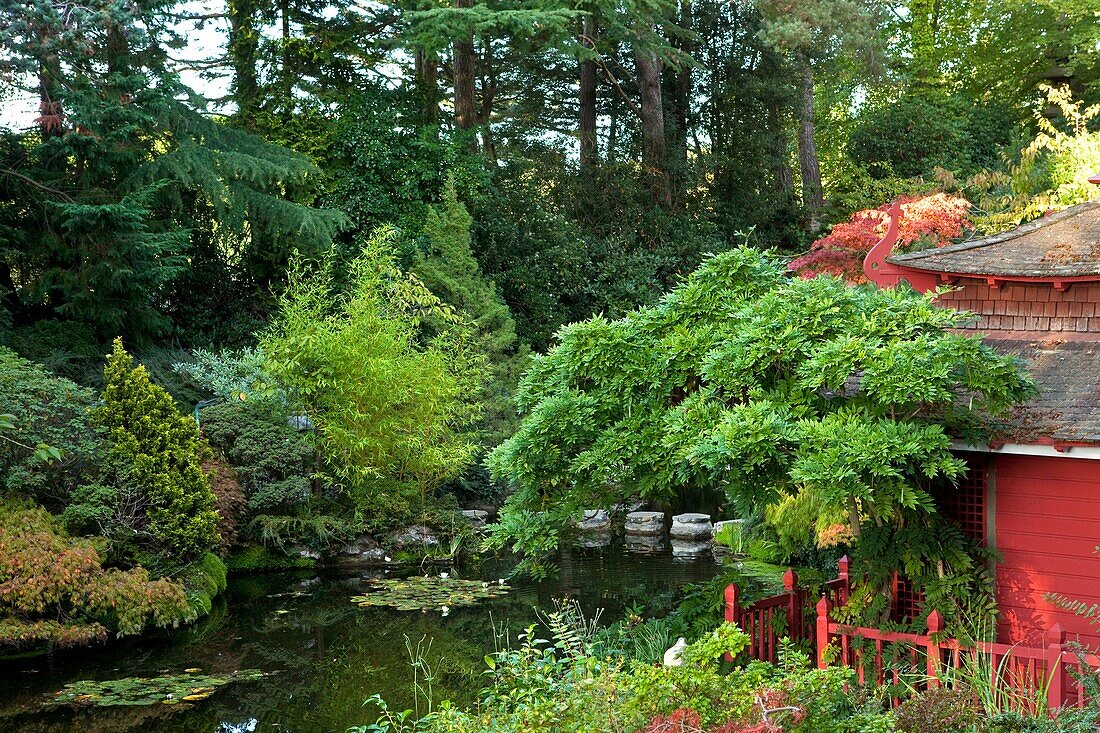 U.K ,Dorset,Compton Acres Gardens, the japonese garden