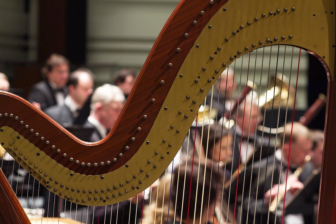 France, Nantes, Cité des Congrès, La Folle Journée 2012, close up on a harp