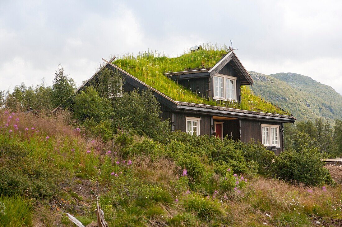 Europe, Norway, Telemark, Near Tinn, House with green roof