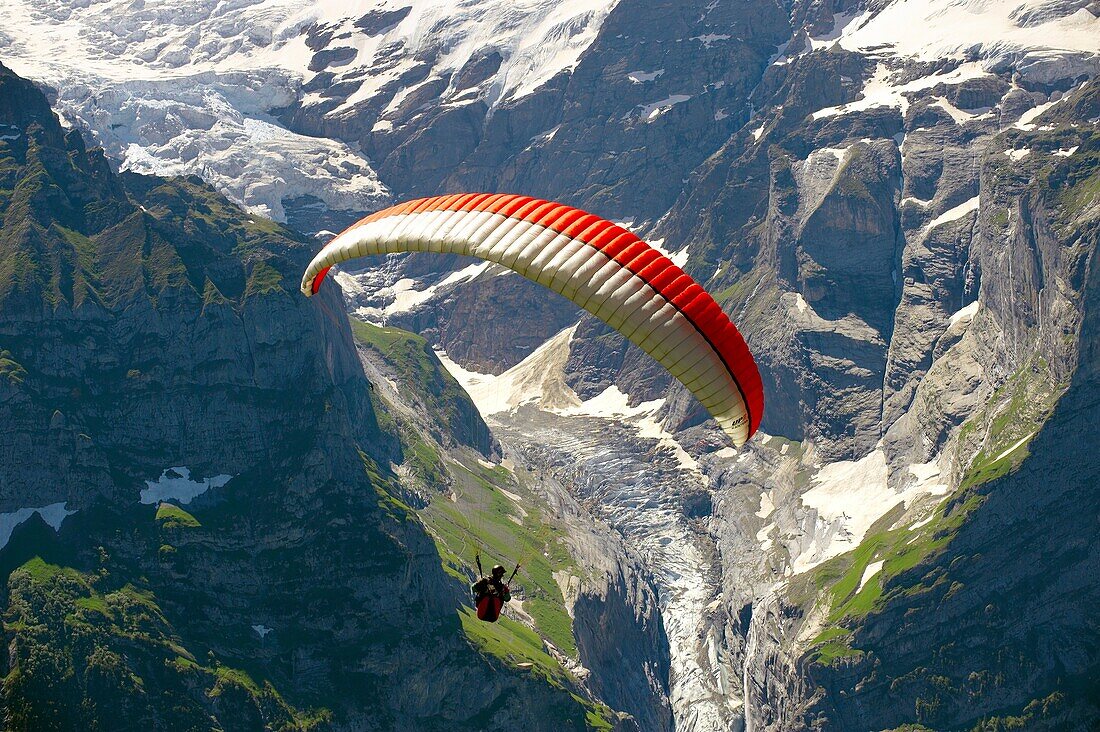 Paragliders in the Swiss Alps above the Grindelwald valley - Swiss Alps - Switzerland