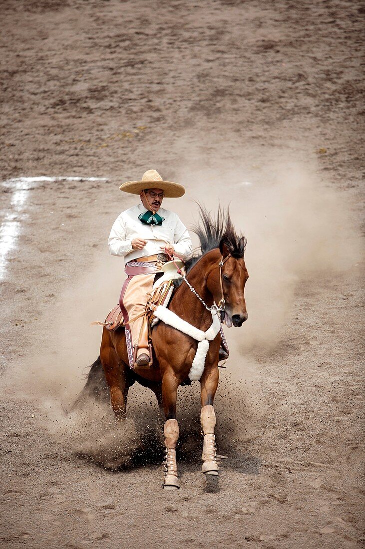 A Mexican charro rides his horse at a charreria competition in Mexico City. Male rodeo competitors are ´Charros, ´ from which comes the word ´Charreria ´ Charreria is Mexico´s national sport.