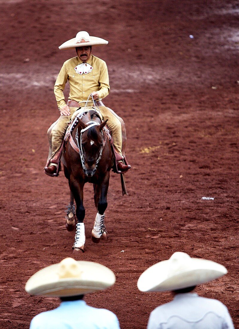 Two Charreria judges watch a Mexican Charro riding his horse as he competes in a Charreria, or rodeo, Mexico´s national sport, in Texcoco, Mexico, October 29, 2007