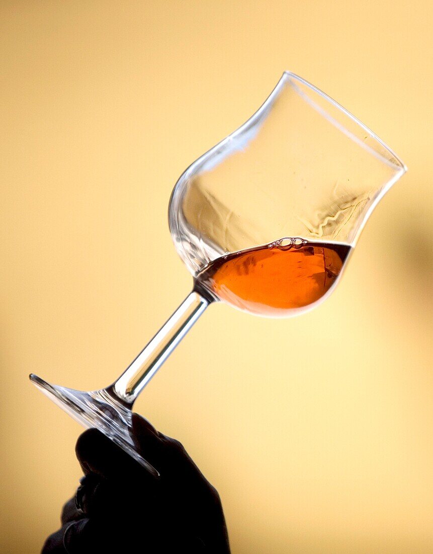 A woman drinks in a glass of red wine in Taramilla winery in Prado del Rey, Cadiz province, Andalusia, Spain, April 25, 2010