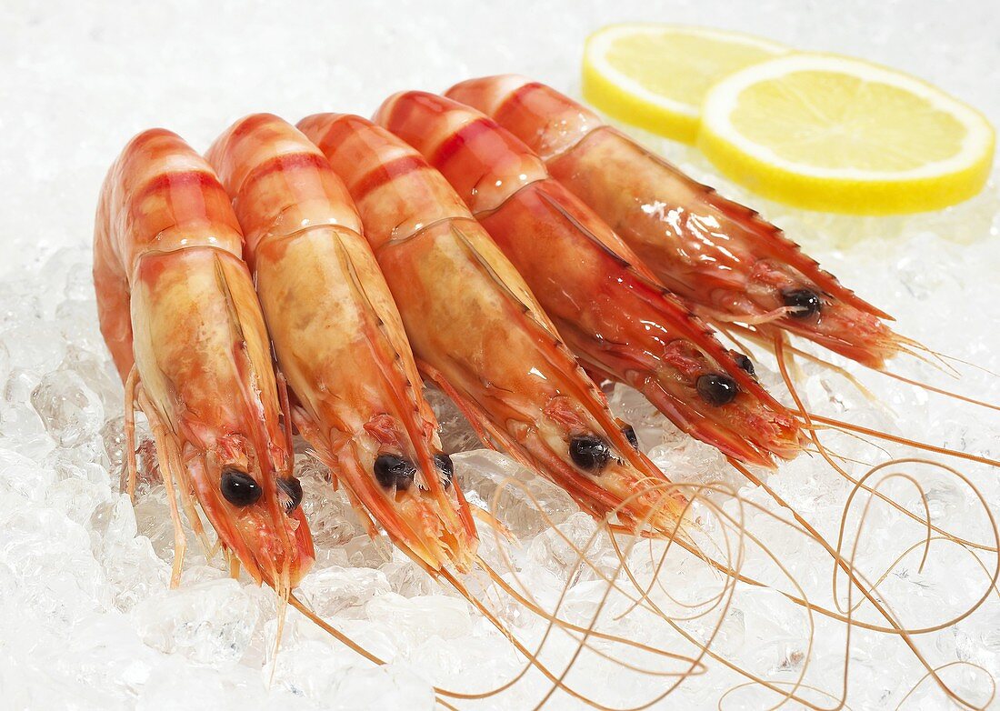 FRESH PRAWN ON ICE WITH A SLIDE OF YELLOW LEMON