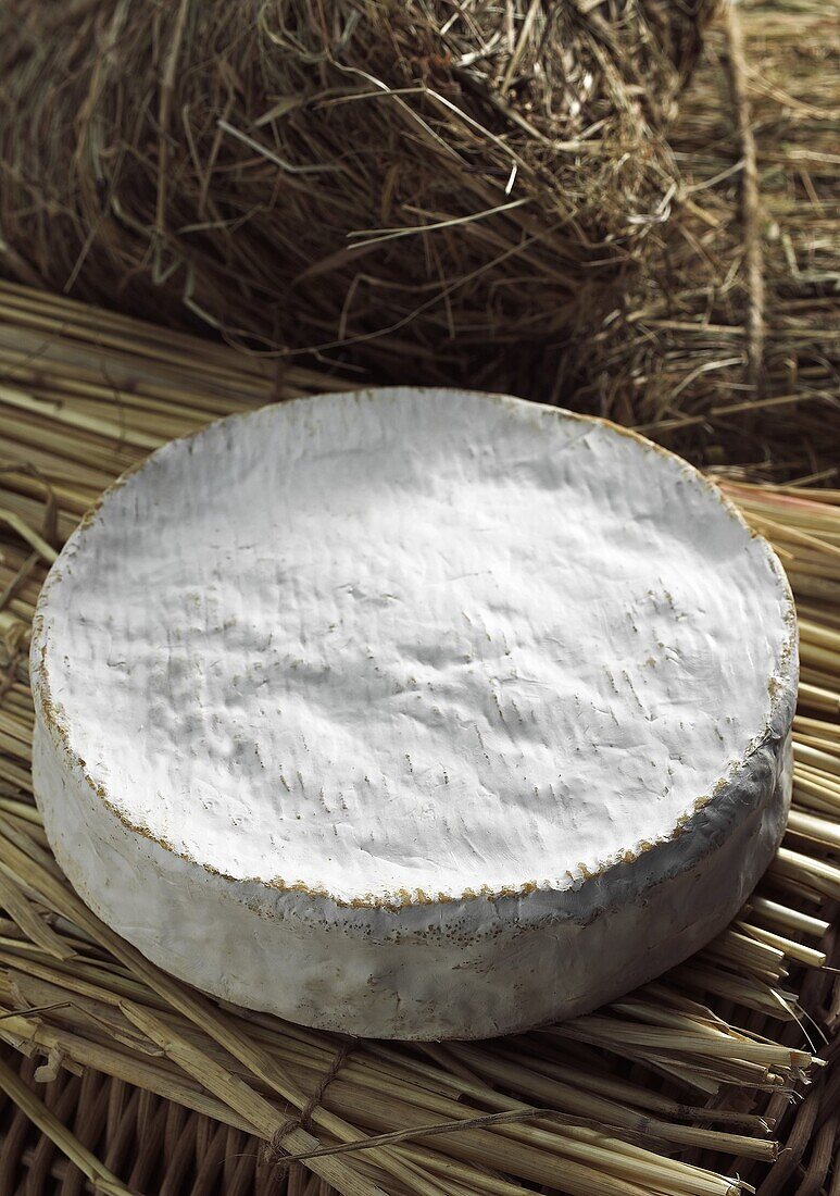 COULOMMIERS, A FRENCH CHEESE MADE FROM COW´S MILK