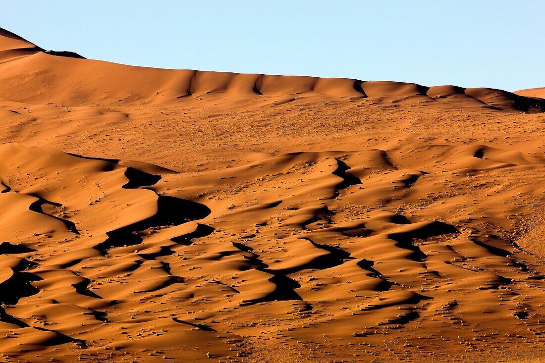 NAMIB-NAUKLUFT PARK, NAMIB DESERT, SOSSULSVLEI DUNES IN NAMIBIA