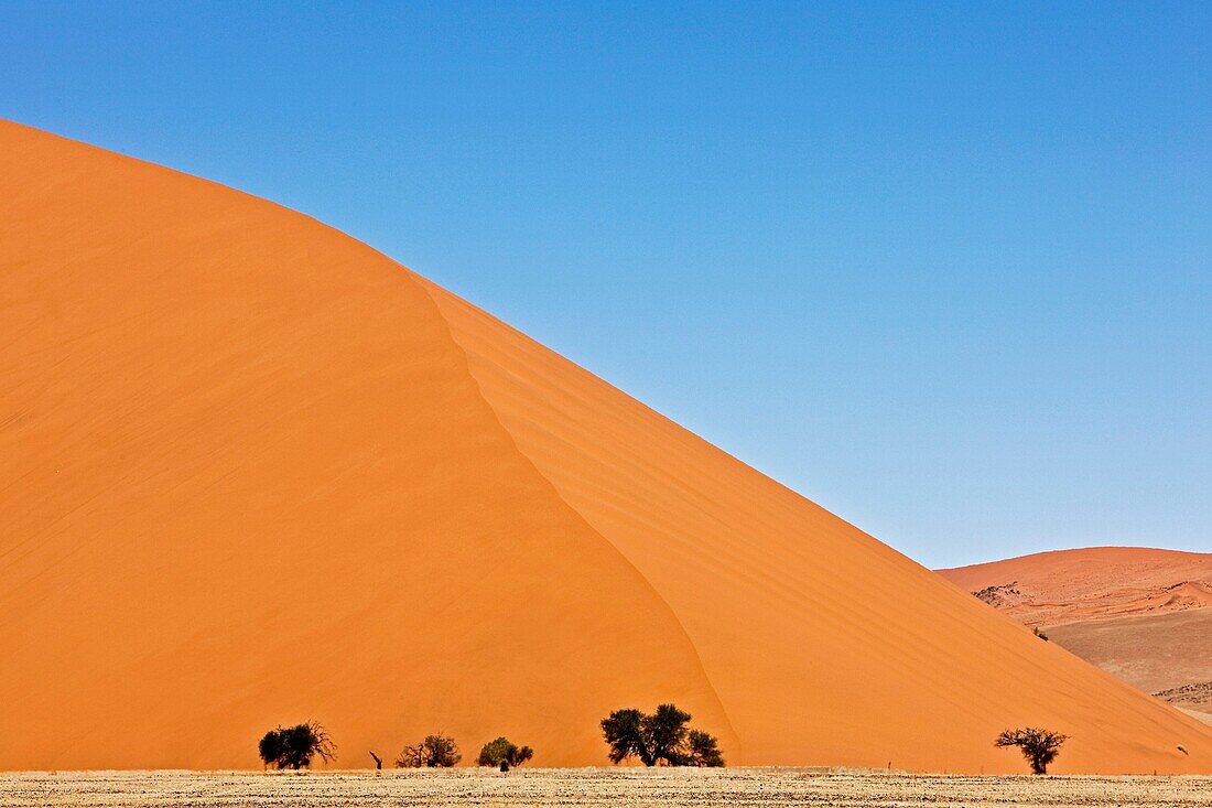Namib Desert, Namib-Naukluft Park, Sossusvlei Dunes, Dune 45, Namibia