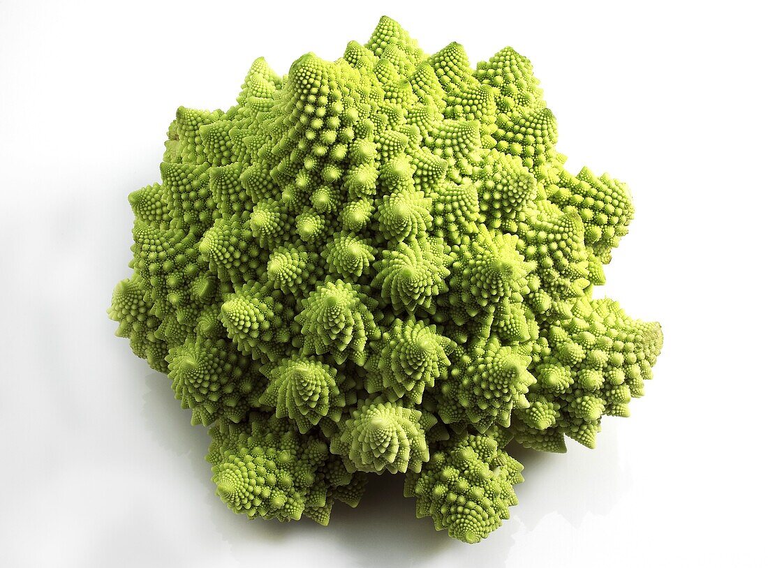 ROMANESCO CABBAGE brassica oleracea AGAINST WHITE BACKGROUND