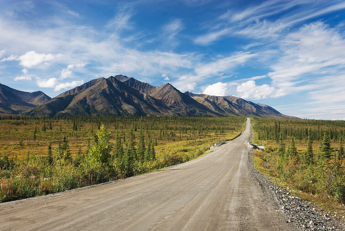 A long straight road in the landscape. The Denali Highway in Denali State Park, Alaska, The Denali Highway in Alaska