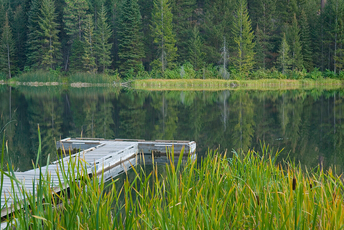 Boat dock on Black Pine Lake in North Cascades national park. Jetty. flat calm water. Trees, pine forests. Long grass., Boat dock on Black Pine Lake, Washington, USA.