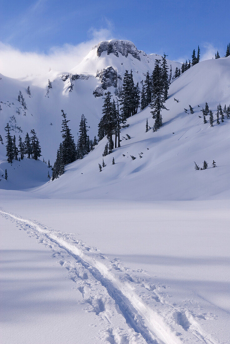 Cross country ski tracks in the snow. Tracks across the landscape in winter. Heather Meadows Recreation Area, North Cascades national park, Washington, USA., Heather Meadows Recreation Area, North Cascades Washington