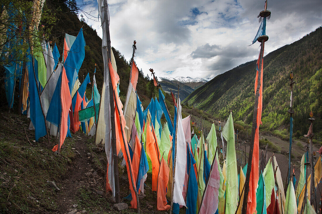 Kandru Village, a mountain village. Valley. Hillside. A row of prayer flags, . coloured fabric, on poles. Buddhist traditional religious symbols. Fluttering in the wind., Sichuan Tibet