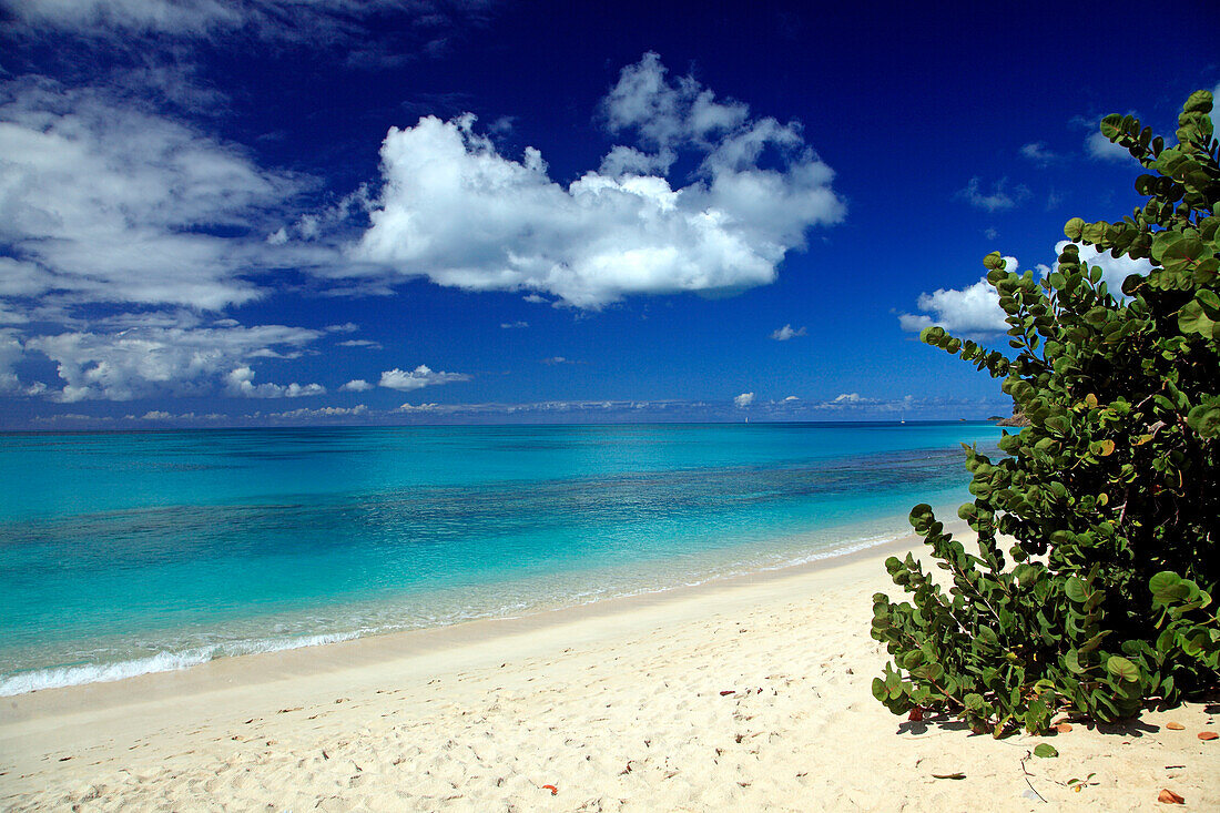 Menschenleerer Strand unter blauem Himmel, Darkwood Beach, Antigua, Westindische Inseln, Karibik, Mittelamerika, Amerika