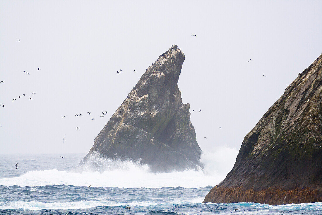 Shag Rocks off South Georgia, South Sandwich Islands, British overseas territory, Subantarctic
