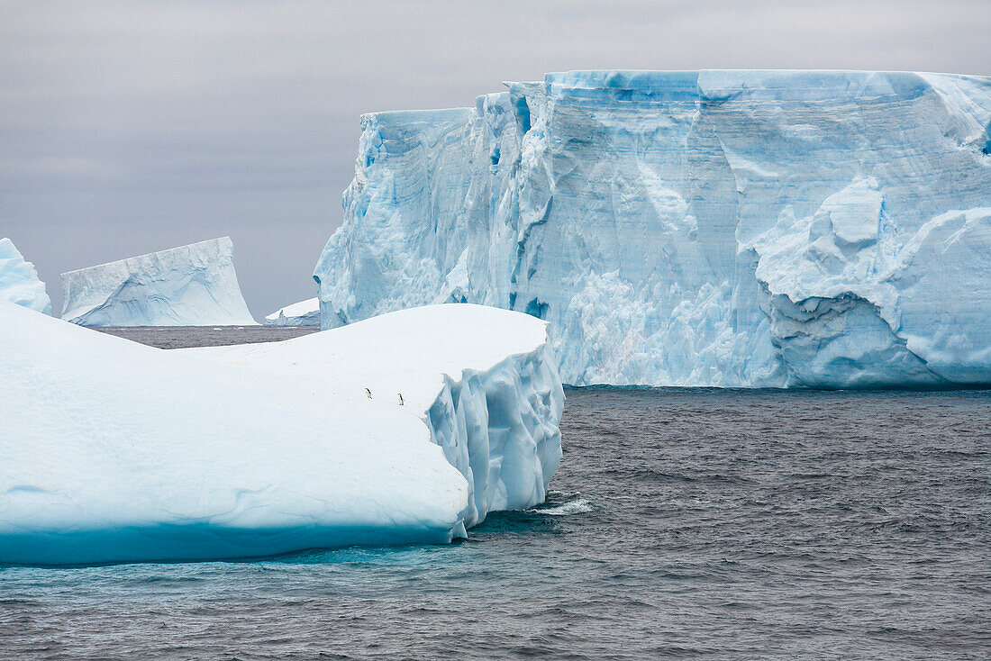 Blue icebergs near South Orkney Islands, Southern Ocean, Antarctica