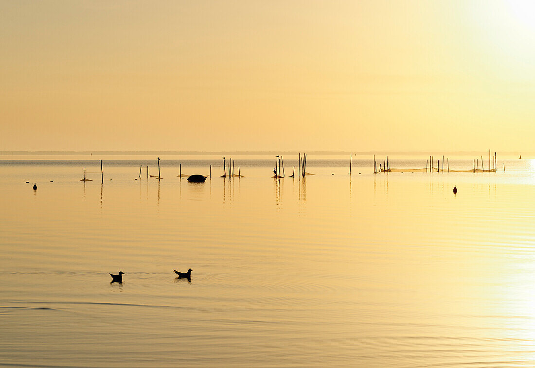 Szczecin Lagoon, Baltic Sea, Ueckermuende, Mecklenburg-Western Pomerania, Germany