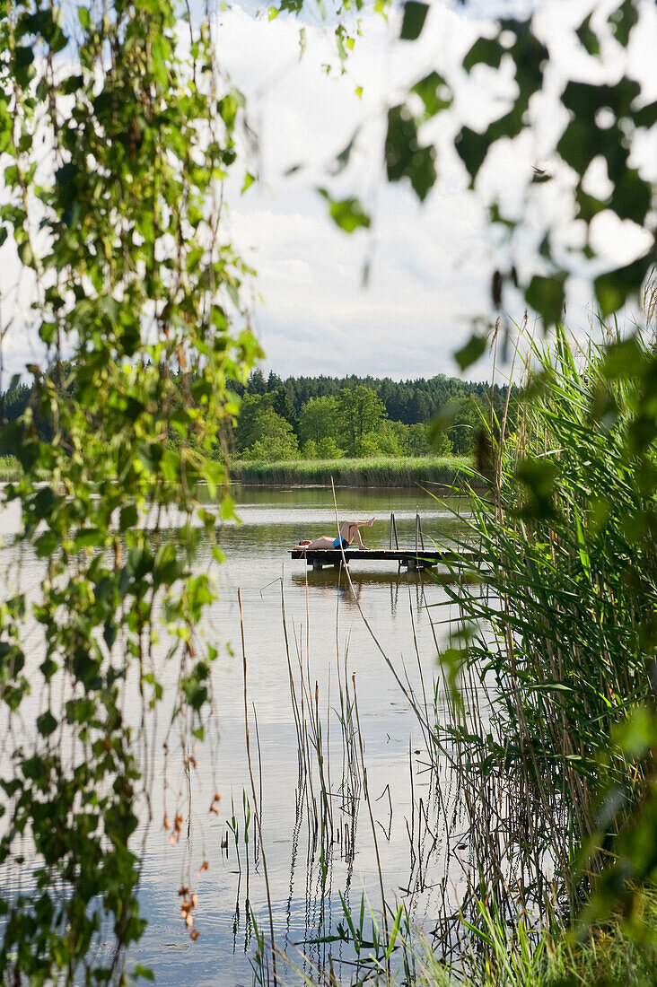 Pelhamer See near Eggstaett, Chiemgau, Bavaria, Germany