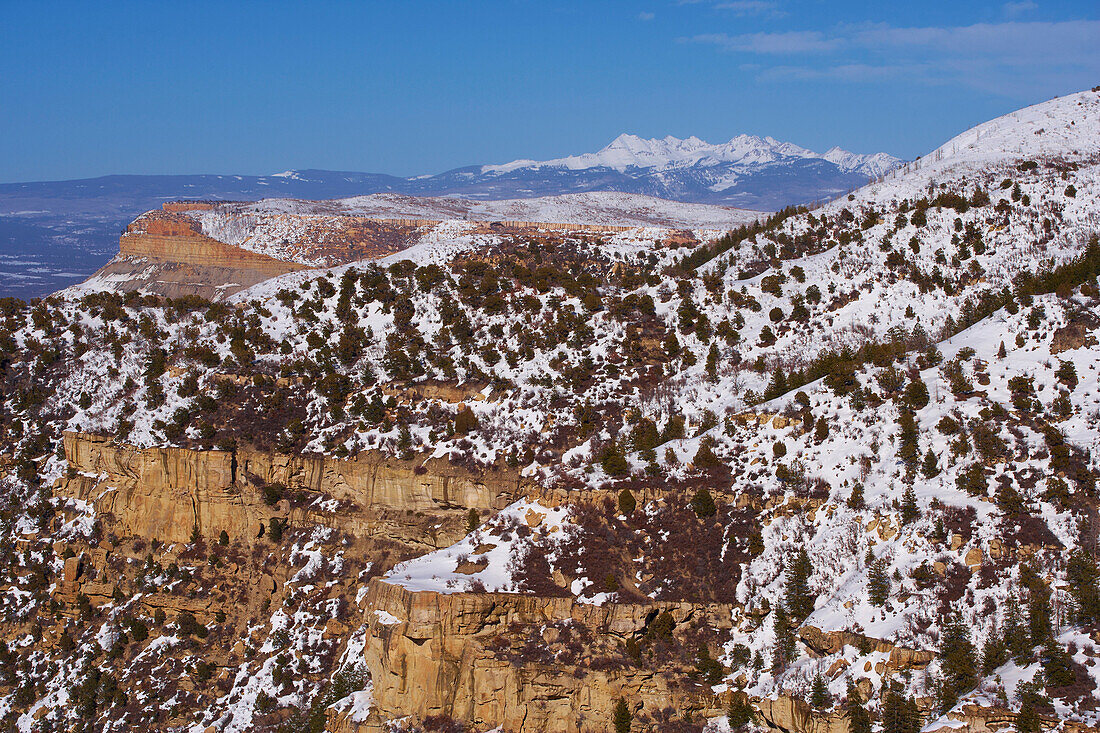 Prater Ridge and San Juan Mountains in spring, Montezuma Valley, Mesa Verde National Park, Colorado, USA, America