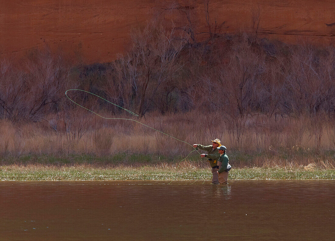 Angler stehen im Wasser des Colorado River zwischen Glen Canyon Dam und Lees Ferry, Glen Canyon, Arizona, USA, Amerika