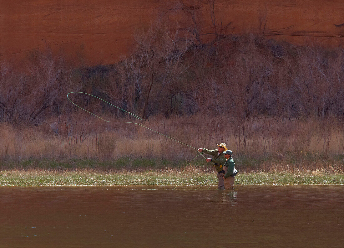 Anglers standing in the Colorado river, between Glen Canyon Dam and Lees Ferry, Glen Canyon, Arizona, USA, America