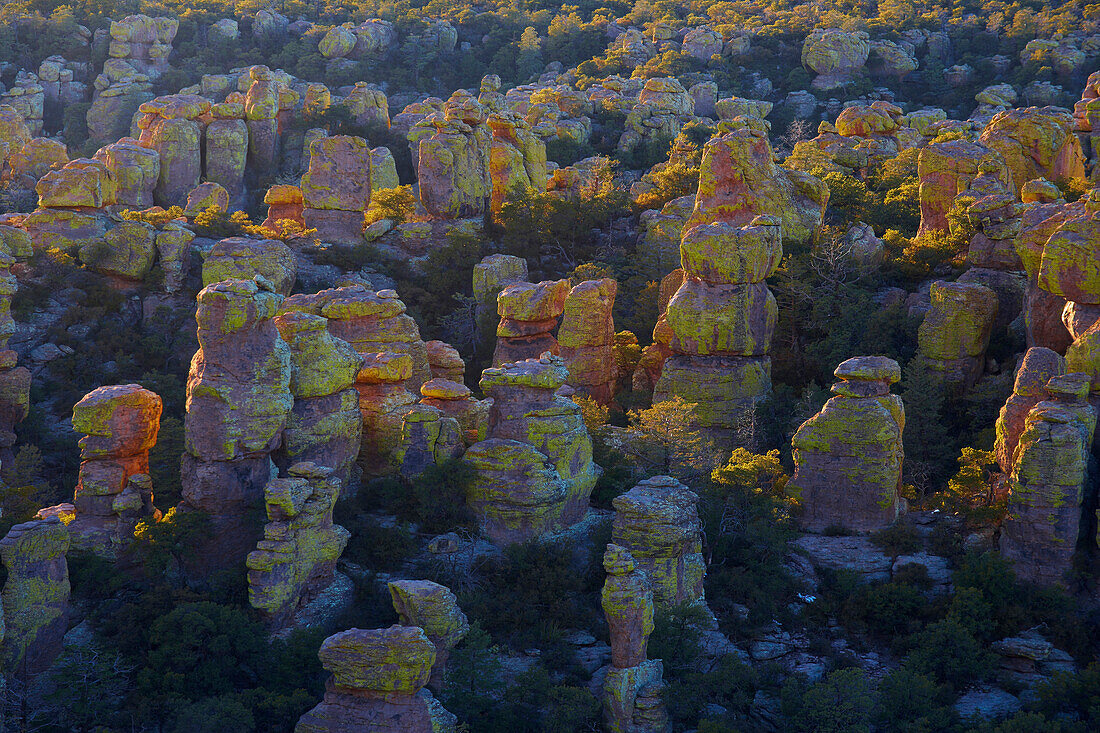 Bonita Canyon Drive, Massai Point, Chiricahua National Monument, Arizona, USA, Amerika