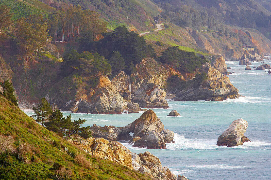 View of Pacific coast with Julia Pfeiffer Burns State Park, California, USA, America