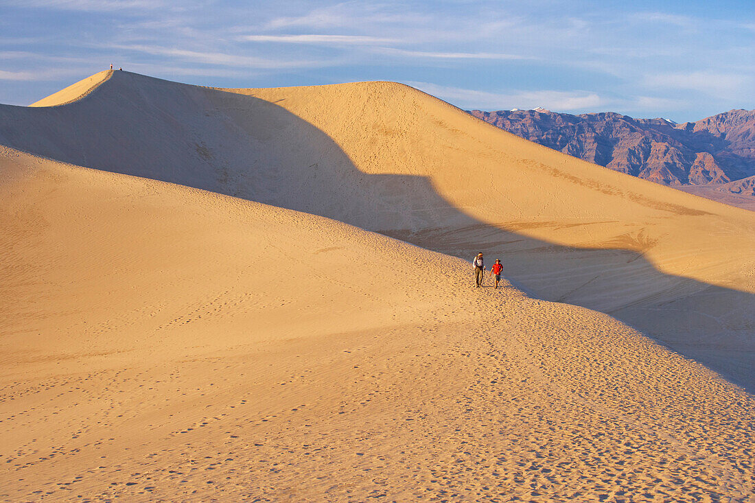 View over Mesquite Flat Sand Dunes onto Amargosa Range in the evening light, Death Valley National Park, California, USA, America