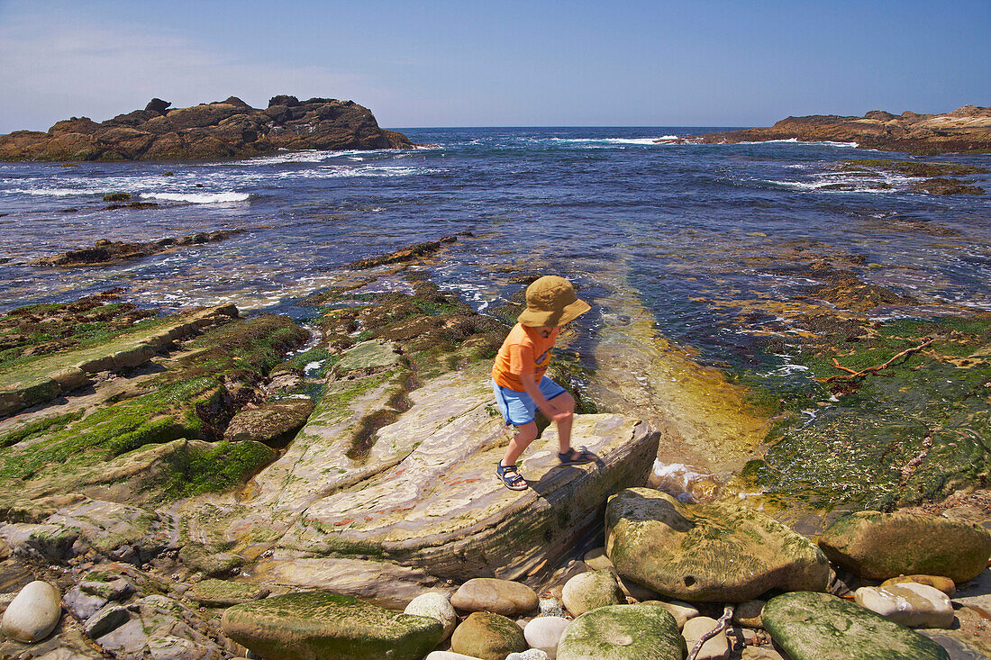 Child on the waterfront, Point Lobos State Reserve, Pacific coast, Pacific Ocean, Highway 1, California, USA, America