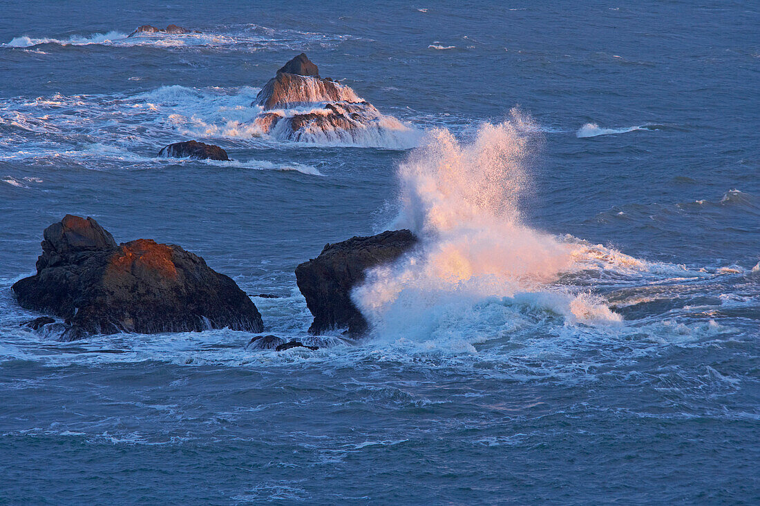 Rocks at Sonoma's coast near Bodega Bay, Sonoma, Highway 1, California, USA, America