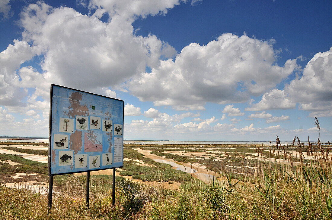 Salt marshes, Natural park Saline di Margherita near Margherita di Savoia, Apulia, Italy