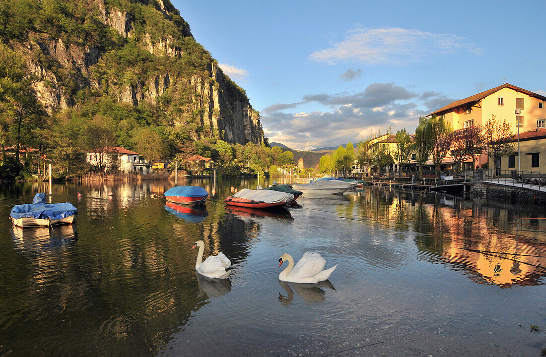 Lavena bei Ponte Tresa, Luganer See, Lombardei, Italien