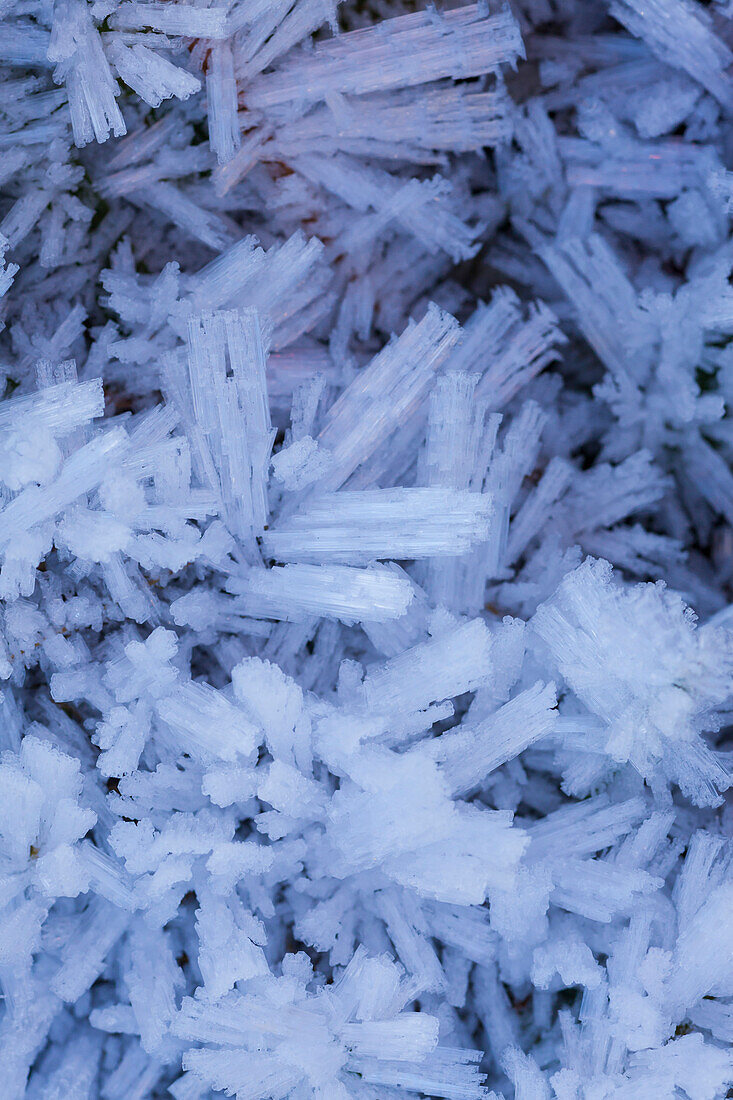 ice crystals, frost
