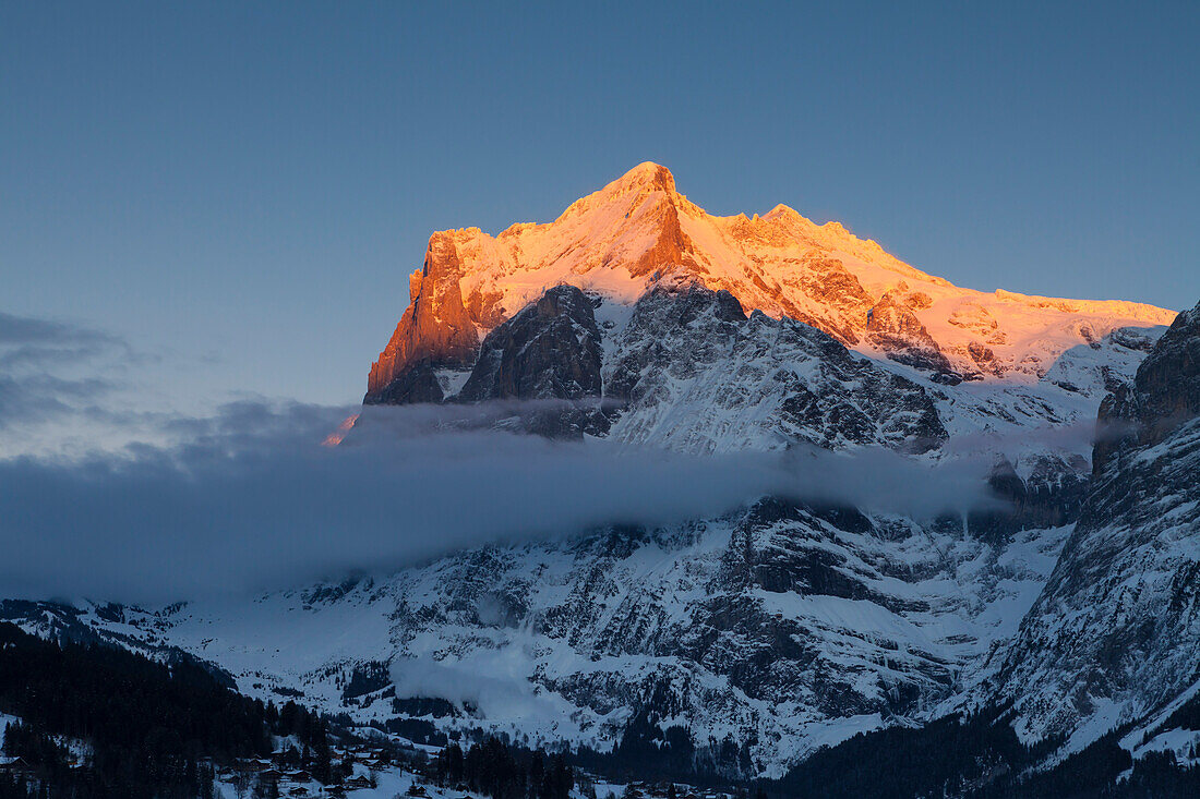 Sonnenuntergang und letztes Sonnenlicht am Wetterhorn, oberhalb Grindelwald, Wintersportort in der Jungfrauregion, Berner Oberland, Kanton Bern, Schweiz, Europa