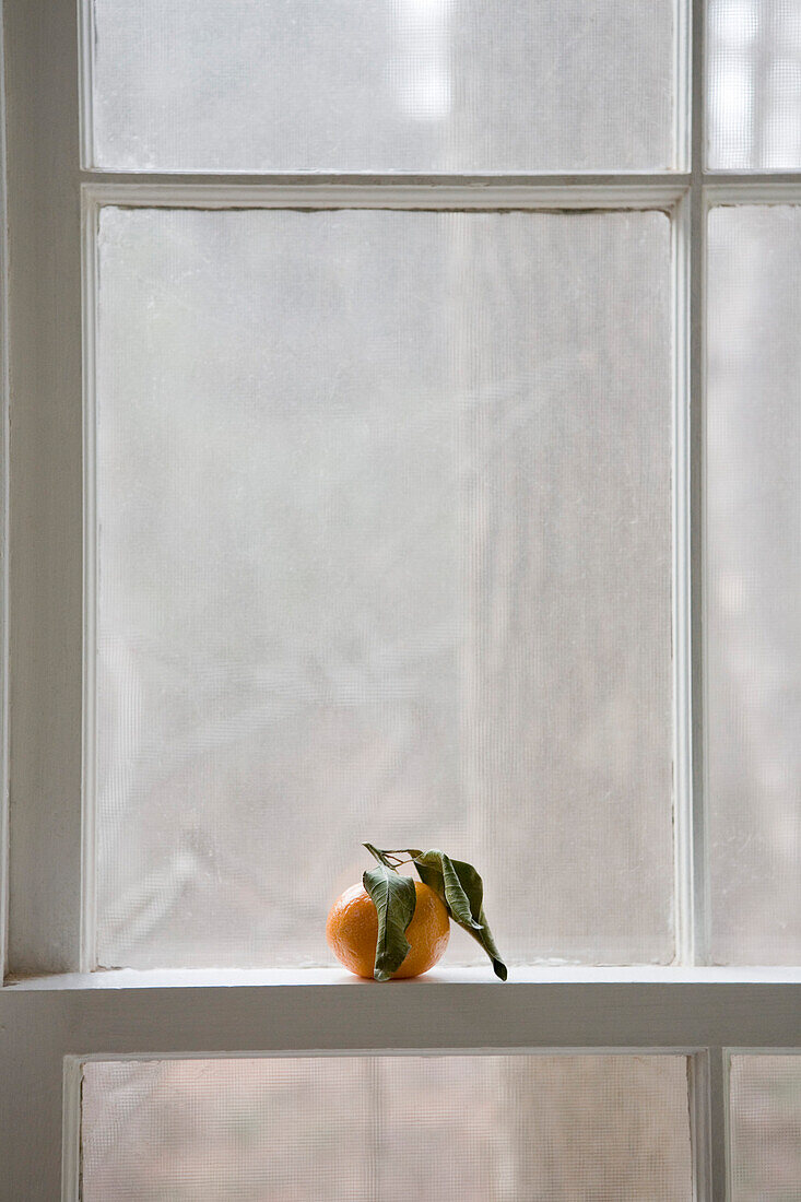Tangerine in Window