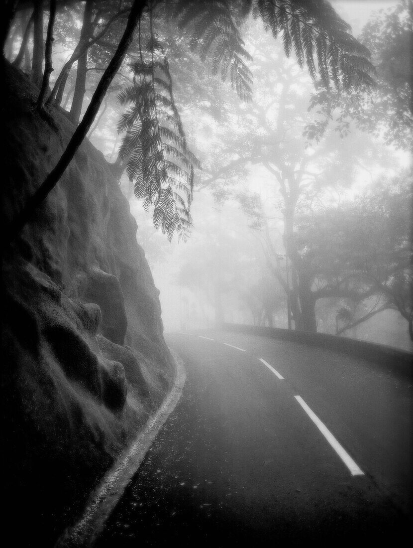 Foggy Bend in Tropical Road, Hong Kong, China