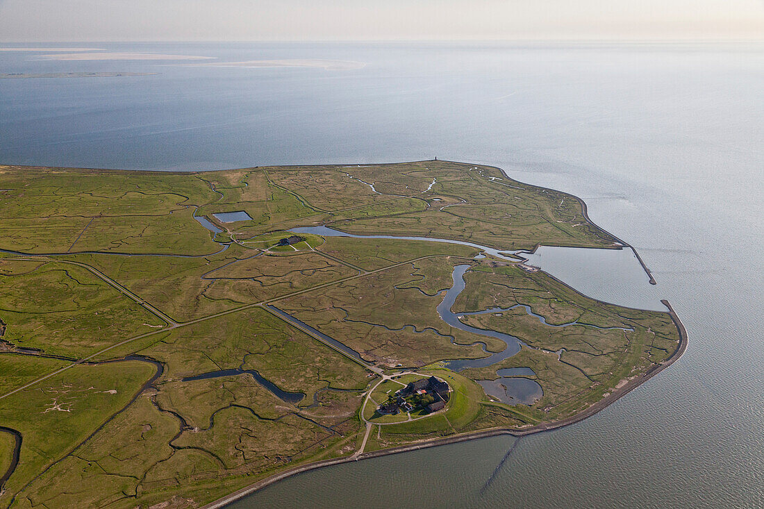 Aerial view of the island of Langeneß showing the harbour and salt marshes, North Frisia, Hallig, Schleswig-Holstein, Germany