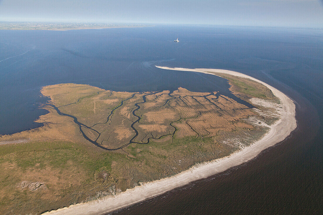 Vogelinsel im Wattenmeer, Luftbild der Nordseeinsel Trischen, Meldorfer Bucht, Naturschutzgebiet, Nordsee, Schleswig-Holstein, Deutschland