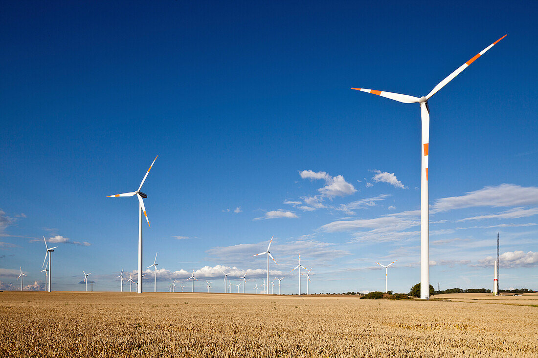 Windenergieanlage im Getreidefeld, Windpark neben der Autobahn A2 nach Berlin, Sachsen-Anhalt, Deutschland