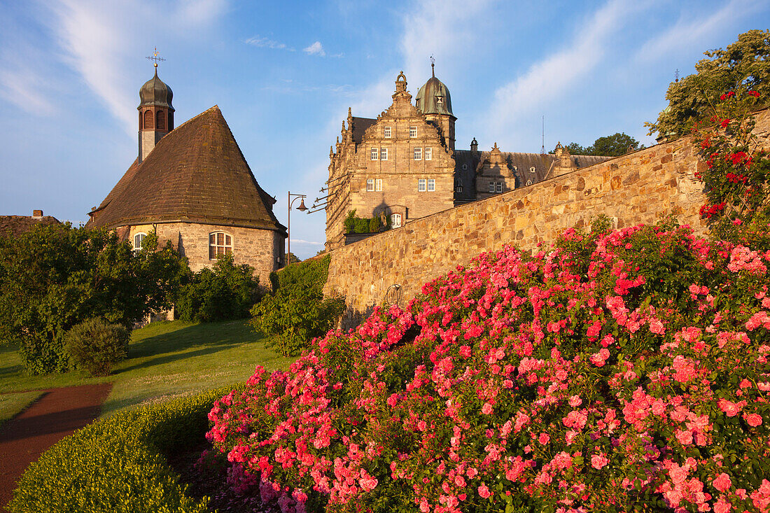 Roses at the gardens of Haemelschenburg castle, church St Mary, Emmerthal, Weser Hills, North Lower Saxony, Germany, Europe