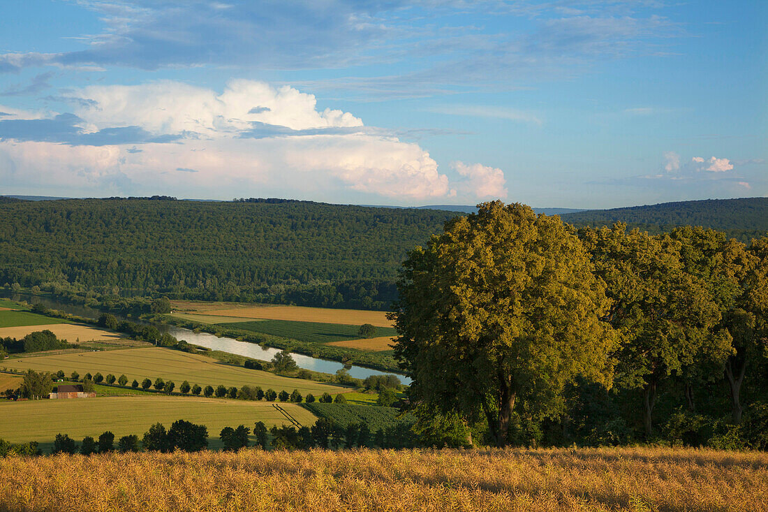 Blick über idylische Landschaft, Weserbergland, Niedersachsen, Deutschland, Europa