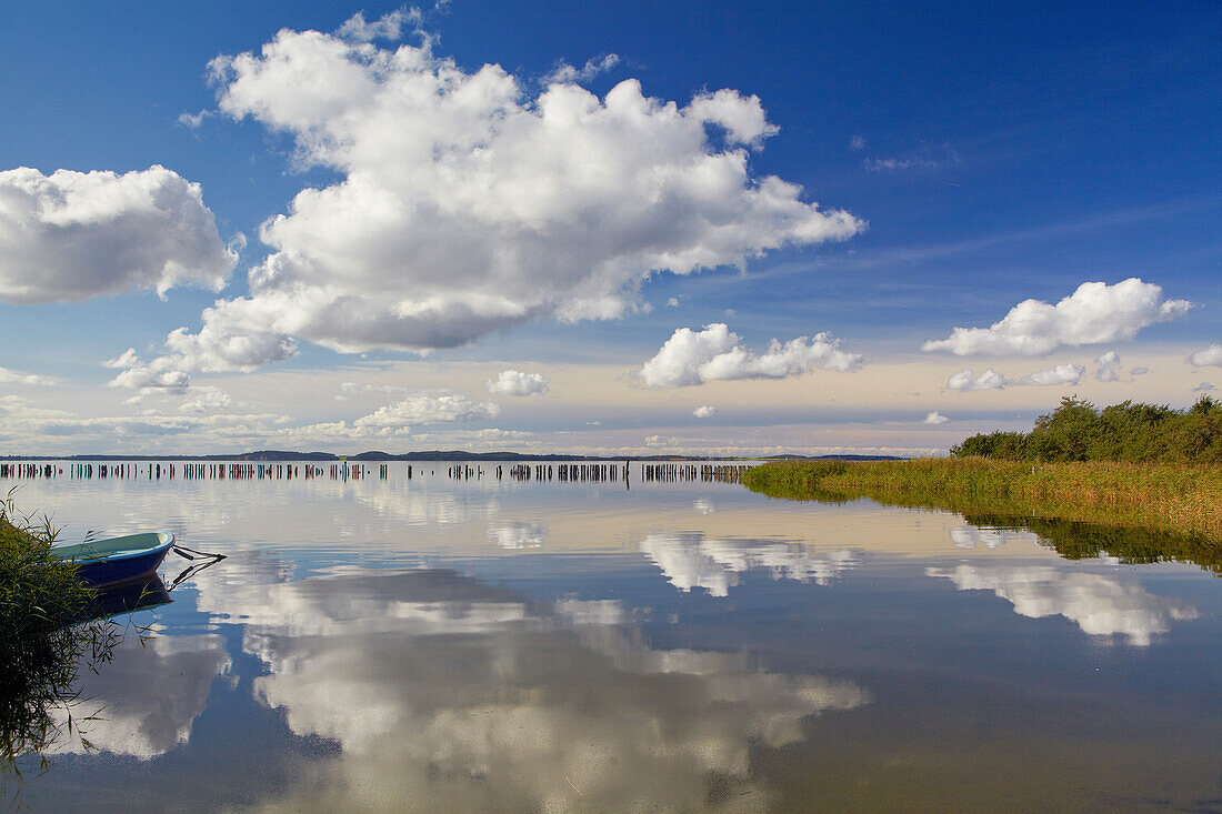 Reflection of clouds at Martinshafen near Neuhof, Grosser Jasmunder Bodden, Island of Ruegen, Mecklenburg Western Pomerania, Germany, Europe