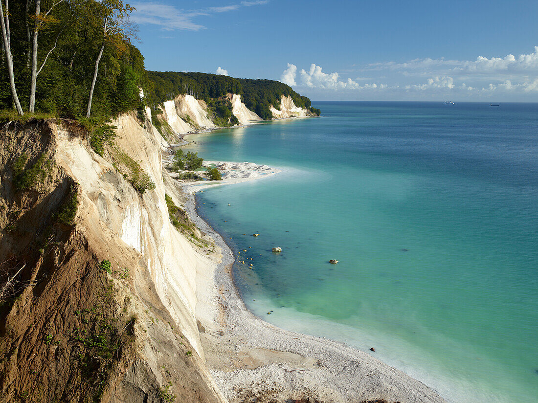 Kreideabbruch an Kieler Ufer, Kreideküste im Nationalpark Jasmund, Insel Rügen, Ostsee, Mecklenburg Vorpommern, Deutschland, Europa