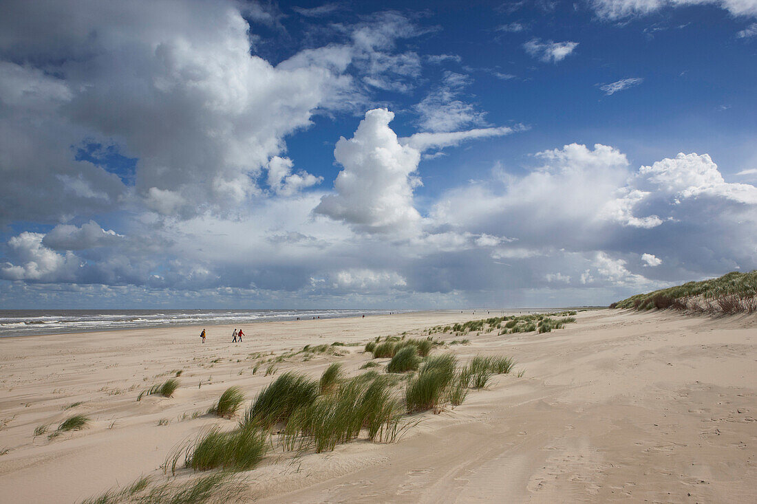 Weitläufiger Nordstrand unter Wolkenhimmel, Insel Spiekeroog, Ostfriesland, Niedersachsen, Deutschland, Europa