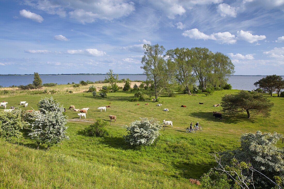 Gnitz peninsula and Achterwasser, Island of Usedom, Mecklenburg Western Pomerania, Germany, Europe
