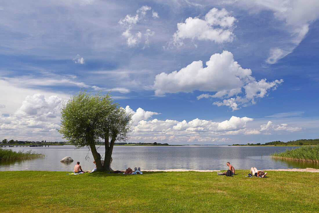 People on the banks of lake Balmer See, Achterwasser, Island of Usedom, Mecklenburg Western Pomerania, Germany, Europe