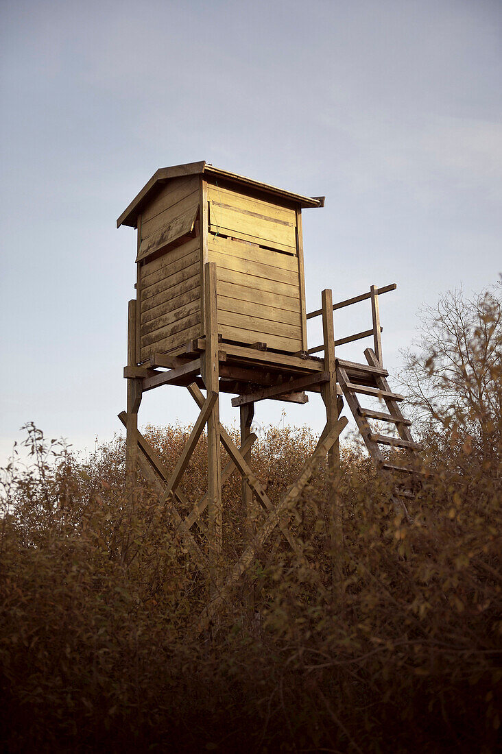 Raised hide at Donaumoos, Guenzburg, Bavaria, Germany, Europe