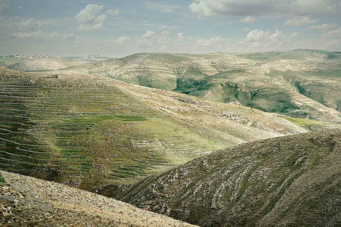 Green barren mountains at the back country of the Dead Sea, habitat of beduins, Mount Nebo, Jordan, Middle East, Asia