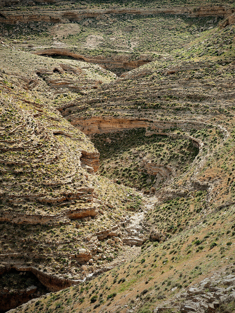 Green covered rock formation at Mukawir, Jordan, Middle East, Asia