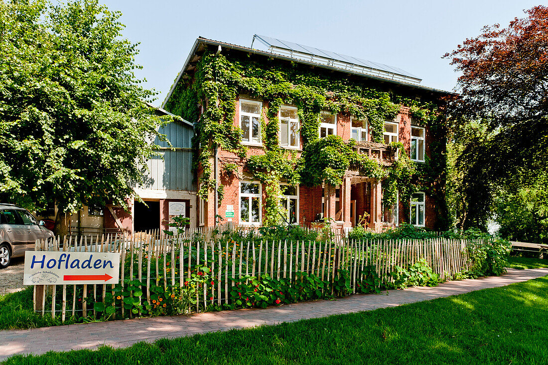 Friesische Schafskäserei Volquardsen, Tetenbüll, Nordfriesland, Schleswig Holstein, Deutschland