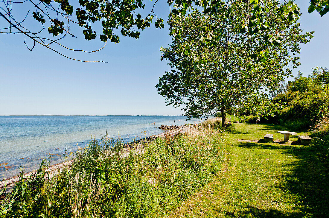 Baltic Sea near by Norgaardholz, Schleswig-Holstein, Germany